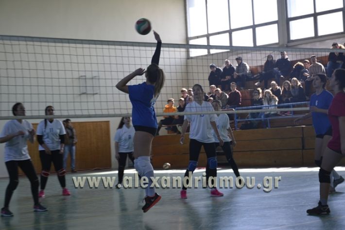 volley_1o-alexandreias-melikis2018 (79)